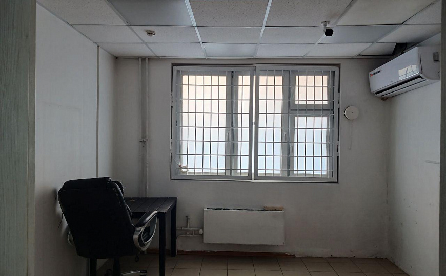 ПСН рядом с озоном фото