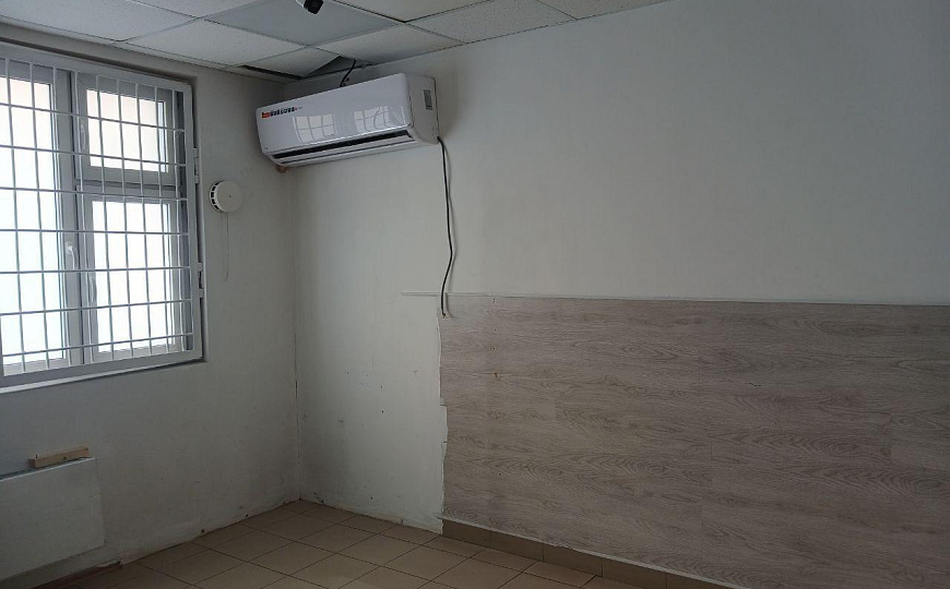 ПСН рядом с озоном фото