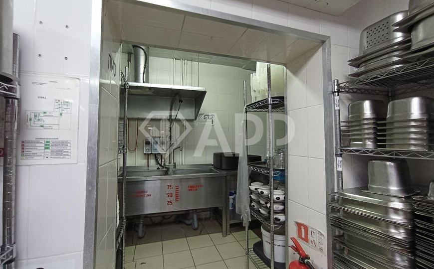 ПСН под кальянную, кафе, пицерию фото