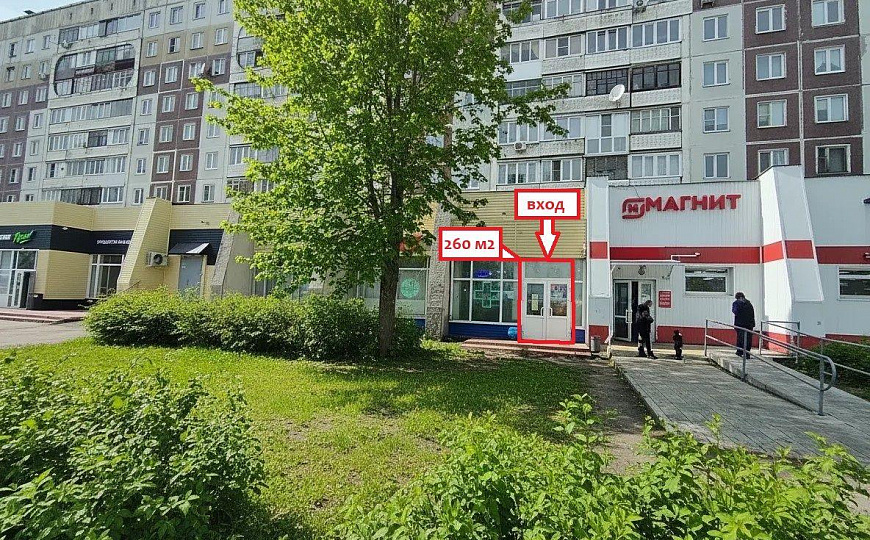 Аренда ПСН/торговое помещение, 260 м² фото