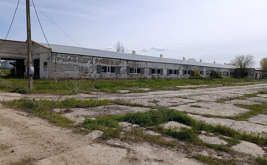Продам отдельно стоящее здание, 3 800 м² фото