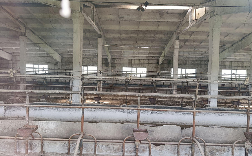 Продам отдельно стоящее здание, 3 800 м² фото