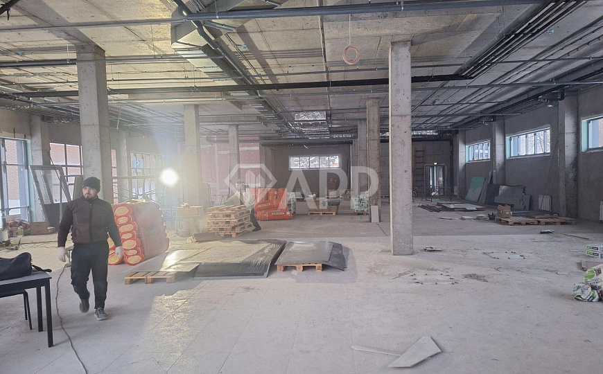 Сдам помещение в новом бизнес центре, 500 м² фото