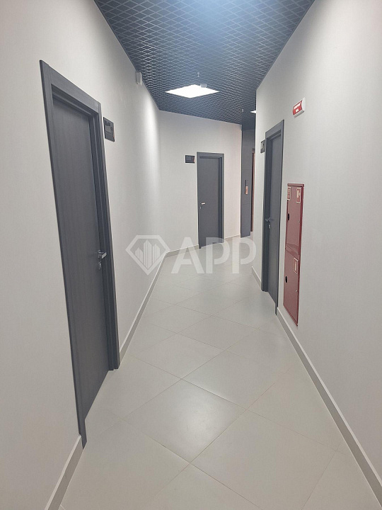 Сдам помещение в новом бизнес центре, 500 м² фото