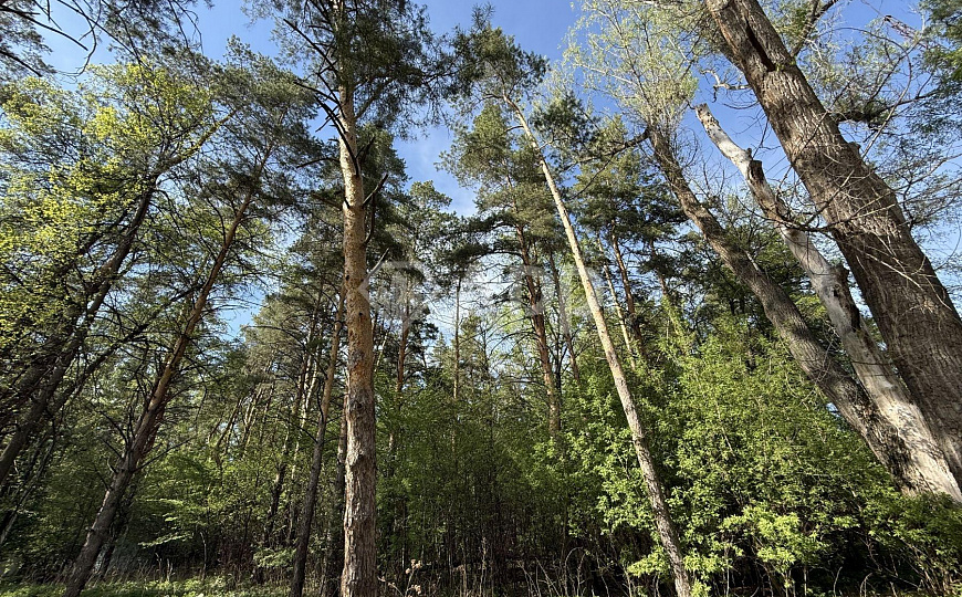Продается база отдыха в черте города фото
