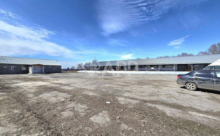 Сдам земельный участок, 600 м² фото