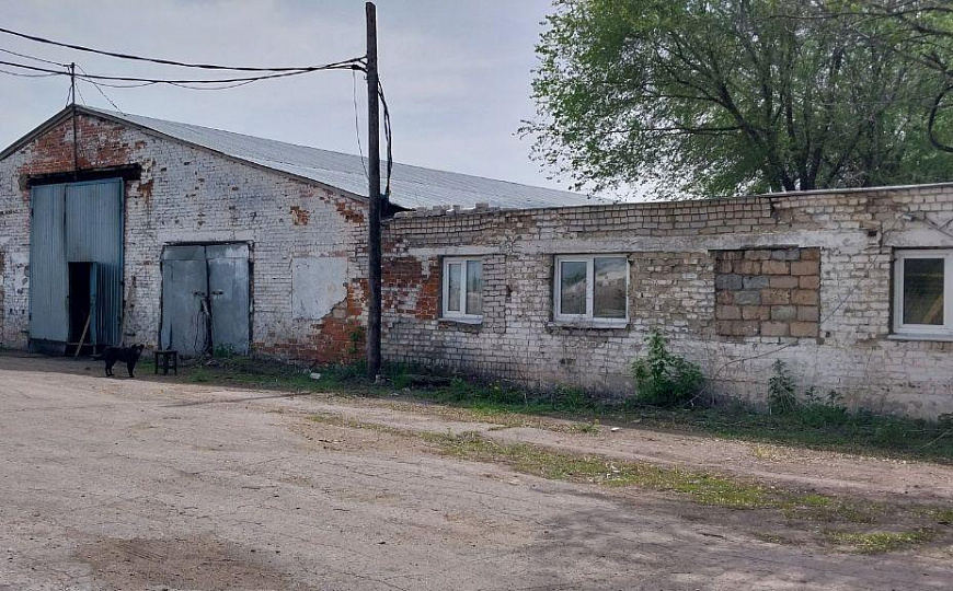 База (производство, склад). 3250 кв.м, участок 4 Га  фото