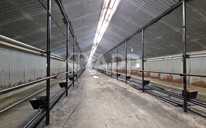 Ферма 7500м² с сельхозугодиями 900га фото