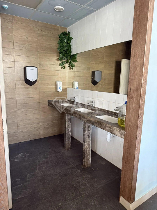 Сдам помещение общественного питания, 320 м² фото