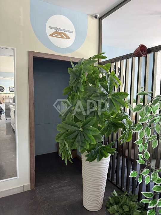 Сдам помещение общественного питания, 320 м² фото