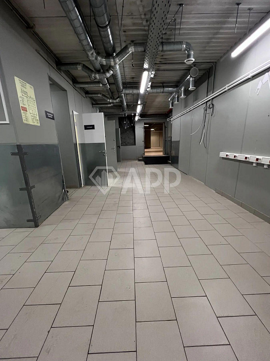Сдам помещение свободного назначения, 500 м² фото