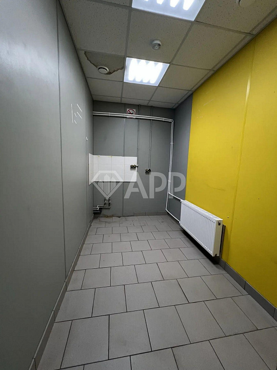 Сдам помещение свободного назначения, 500 м² фото