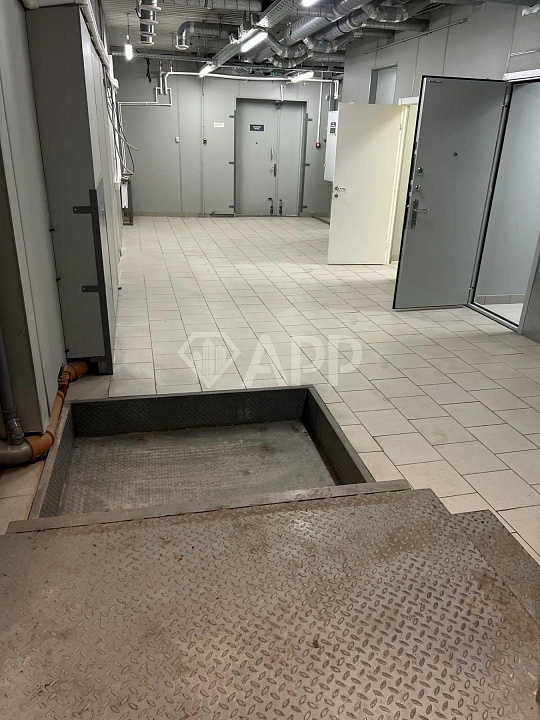 Сдам помещение свободного назначения, 500 м² фото