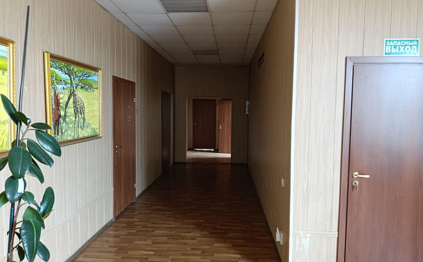 Сдам офисное помещение, от 10 до 1200 м² фото