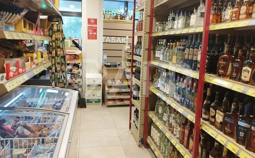Анкерные арендаторы Магнит+Горздрав. Доходность 10,3% годовых фото