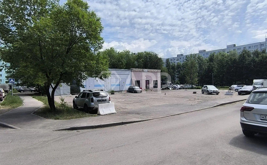 Сдаю 50 м² фото