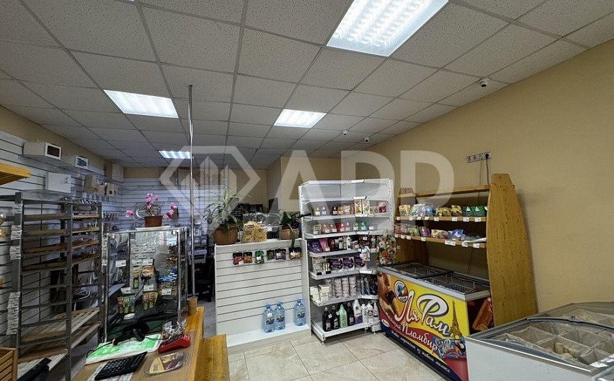 Сдаю 60 м² магазин аптека пекарня салон красоты медицина  фото