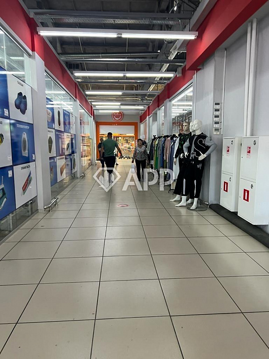 Сдам помещение свободного назначения, 446 м² до 2000 м²  фото