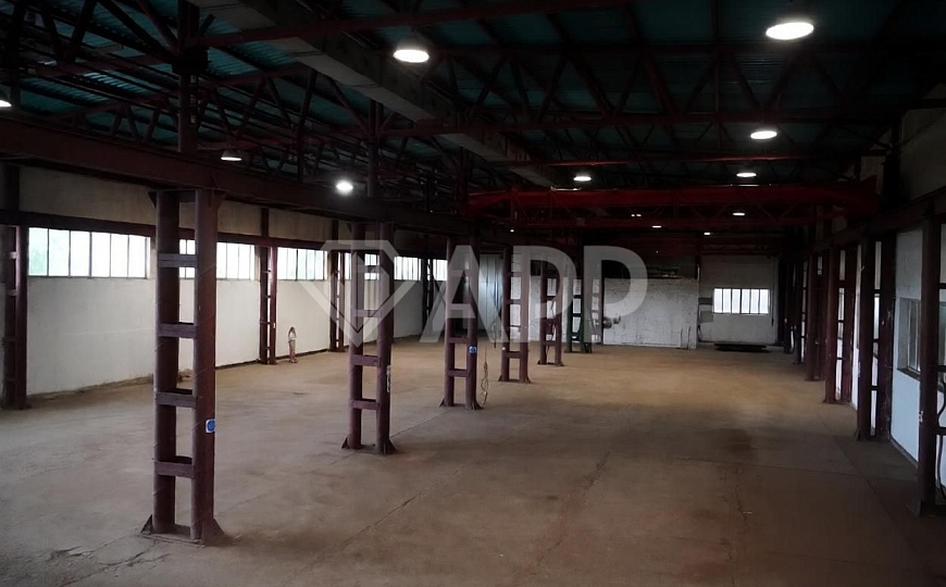Сдам производственный склад 1500 м². 3 кран-балки по 5 тонн. НДС. Охрана фото