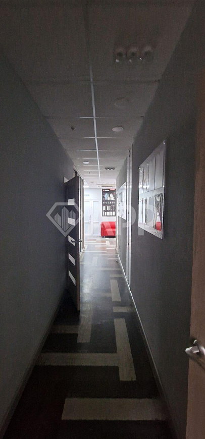 Офис 206,2 м² с арендатором в Миллениуме фото