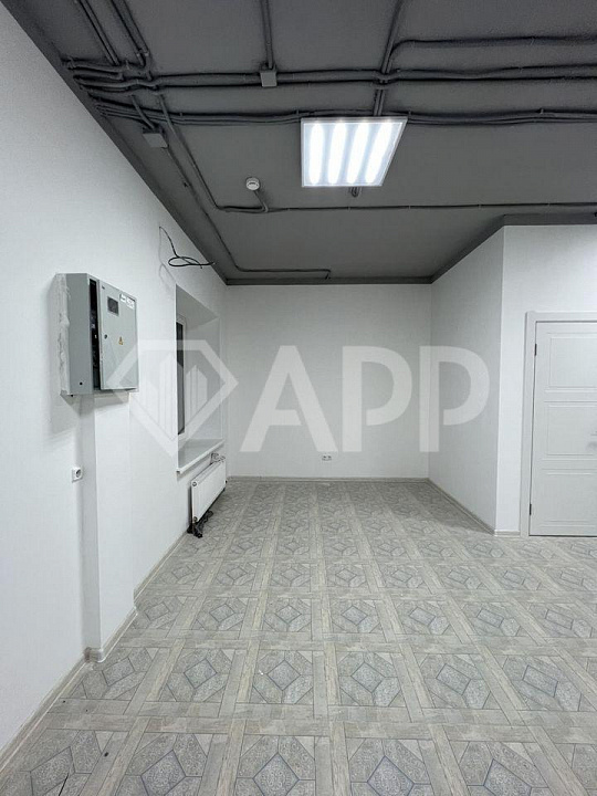 Сдам помещение  70 м² фото