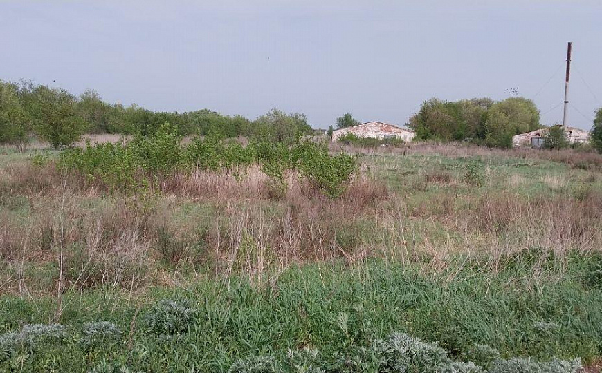 База (производство, склад 3250 кв.м). Земельный участок 4 Га фото