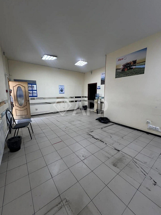 Сдам помещение свободного назначения, 310 м². До 560 м² фото