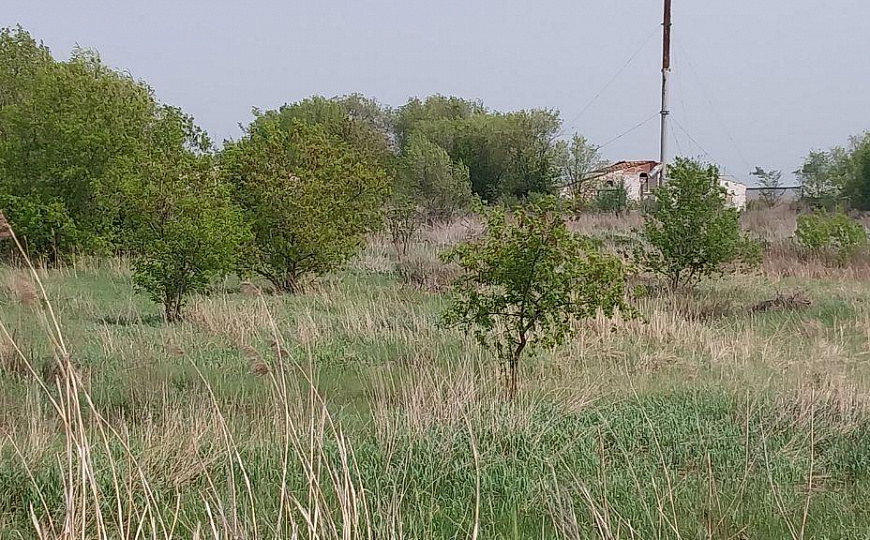 База (производство, склад). 3272 кв.м, участок 1,6 Га  фото