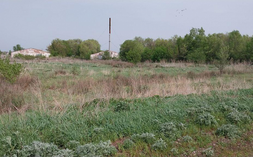 База (производство, склад). 3272 кв.м, участок 1,6 Га  фото