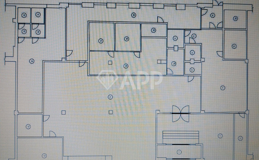 Сдаются 530м² в центре на 1 этаже с НДС фото