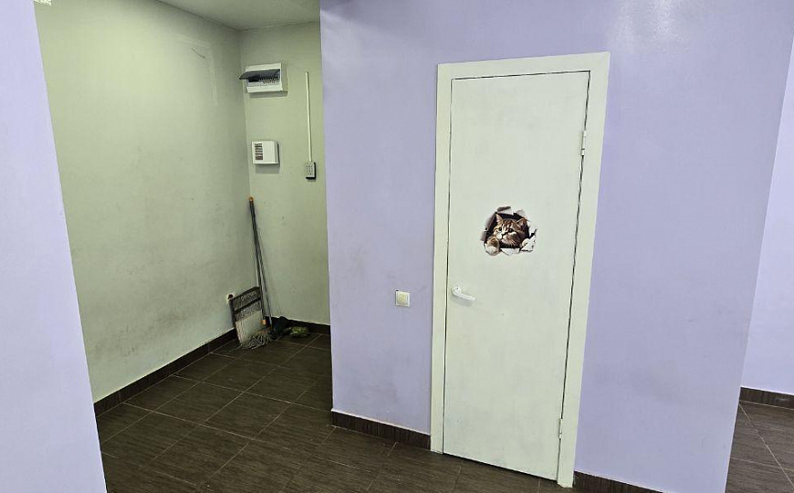 Помещение свободного назначения на 1 линии фото
