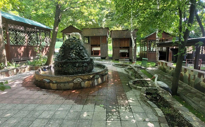 Кафе Весна 450 м2 фото