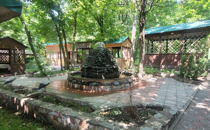 Кафе Весна 450 м2 фото