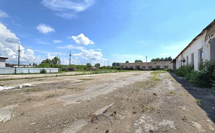 Склад холодный, 1000 м² фото