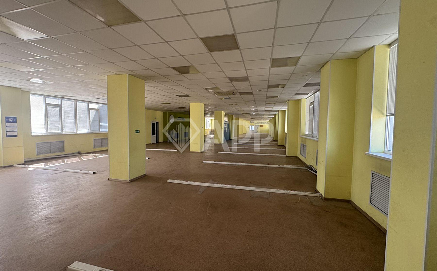 Сдается 958 кв в самом центре Ростова фото