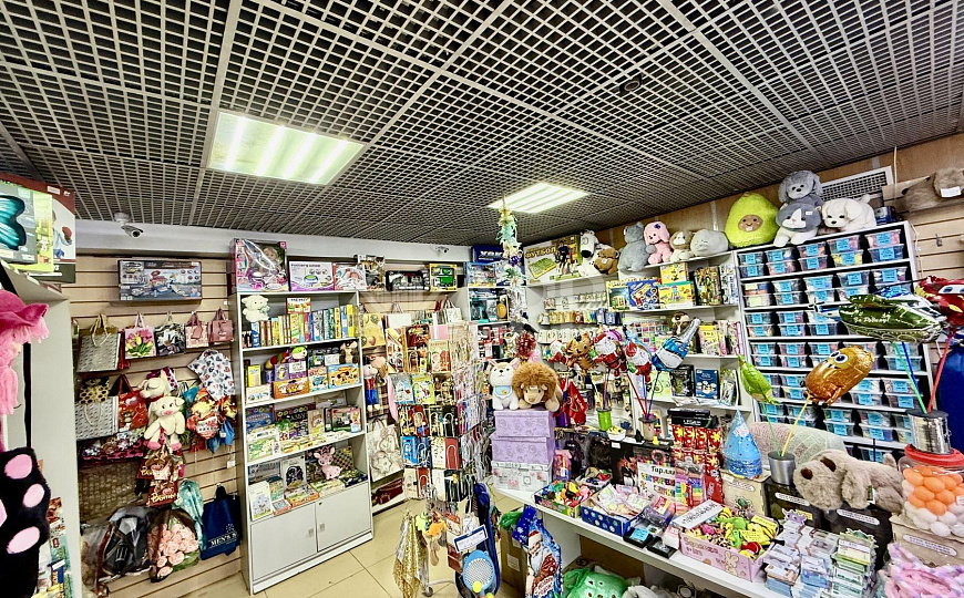 ПСН в ТЦ, 132.7 м²   фото