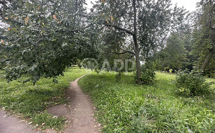 Продается участок 1497 м² на пр. Мира фото