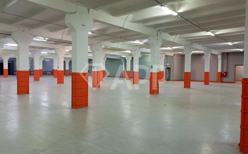 Склад 1100, 1400, 3500 кв. Метров Кантемировская фото