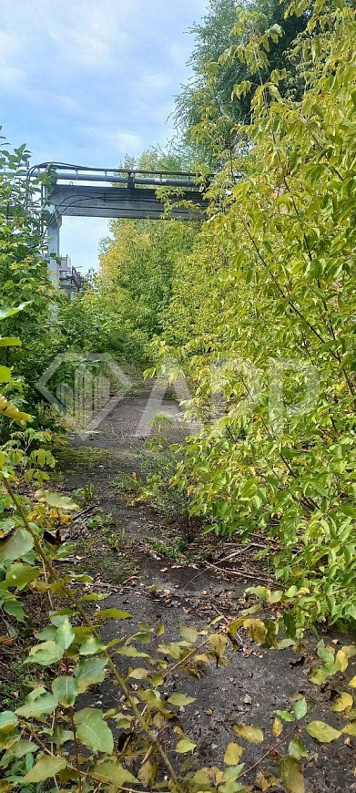 Продам пром.участок 18сот. у ЖД ветки фото