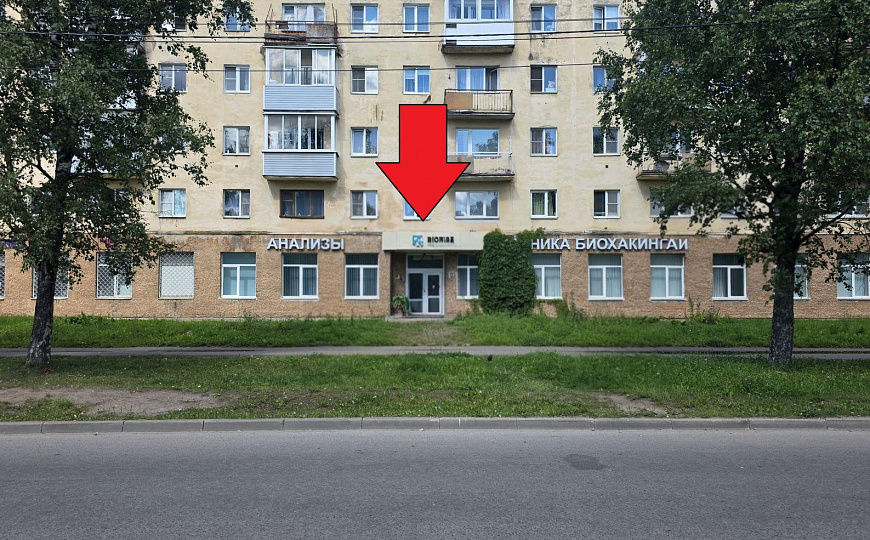 Сдам офисное помещение 462 м² фото
