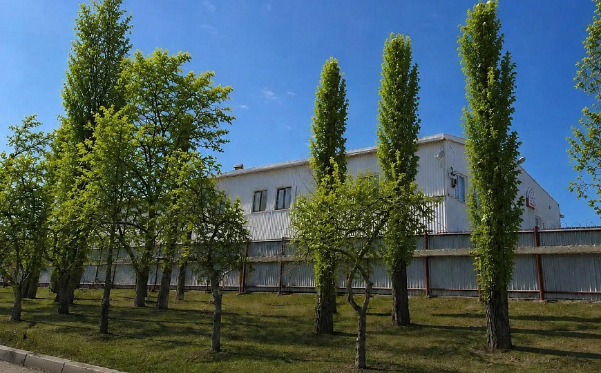 Помещение 1185 м.кв. на земле 4465 м.кв. под производство, склад, спорт фото