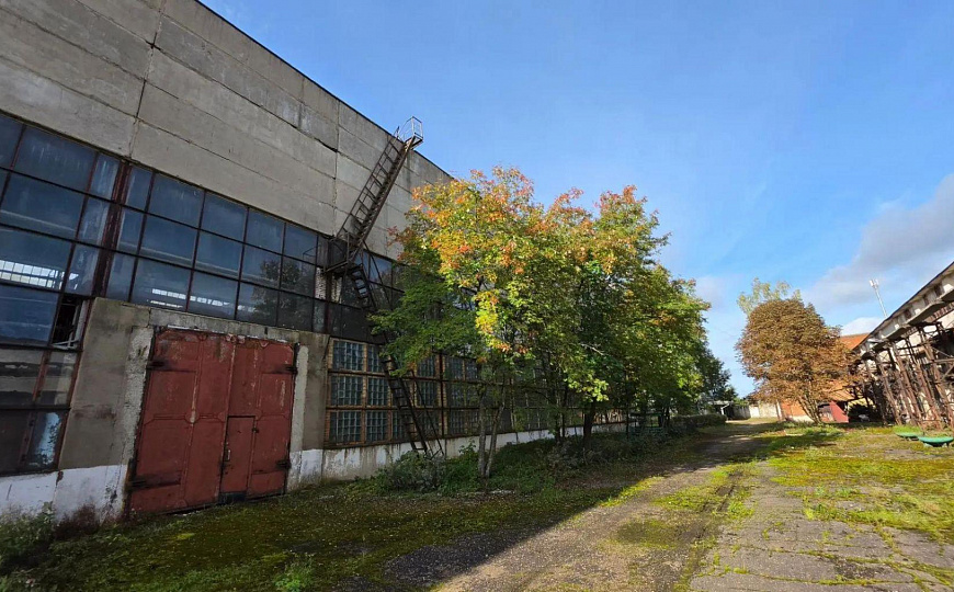 Сдам производственное помещение, 15 000 м² фото