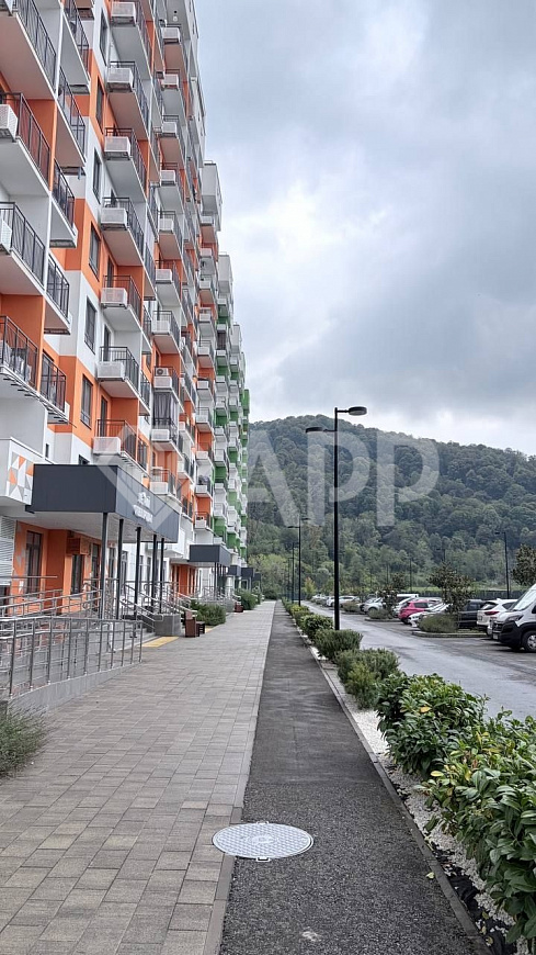 Коммерческое помещение 42,6 м² | 1 этаж | ЖК Летний фото