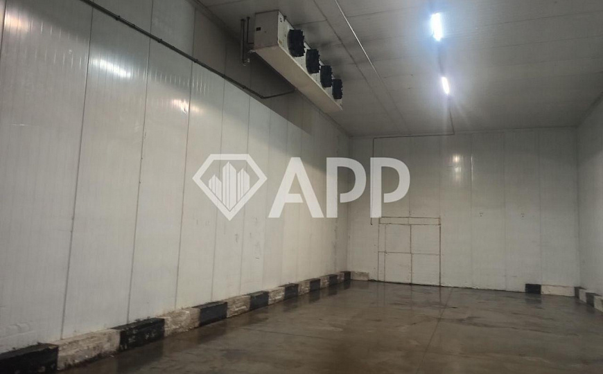 Сдаю Холодильные камеры от 150 м² до 230 м² фото